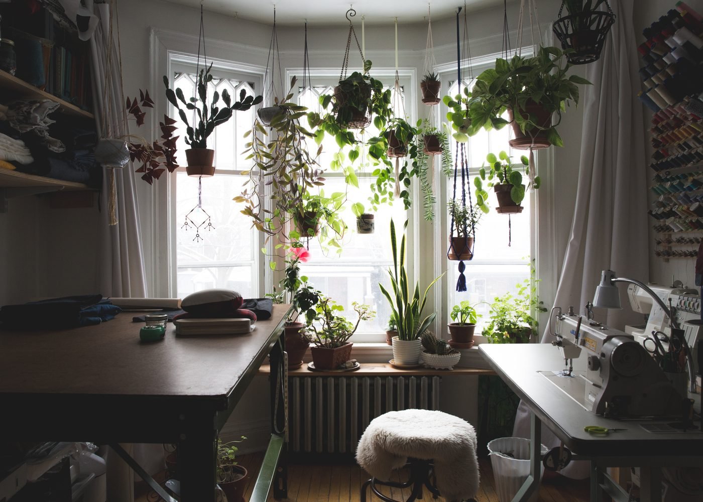 The Southern Attire workroom with sewing machines, fabric and plants